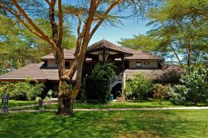 SIMBA LODGES HOTEL